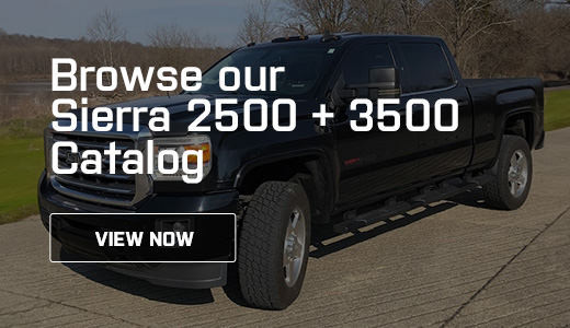 Promo Banner