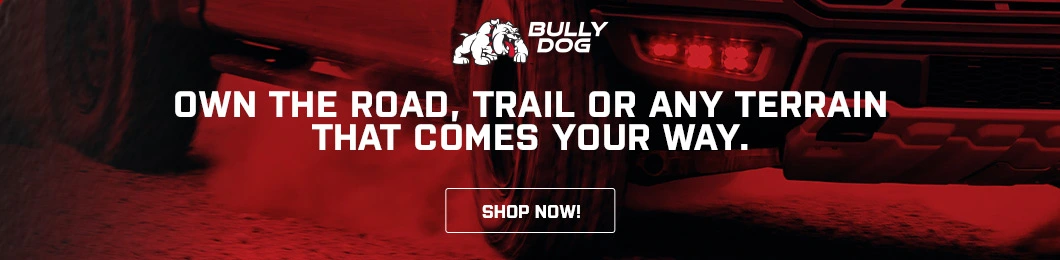 Promo Banner