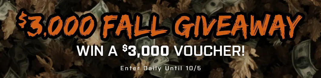 Promo Banner