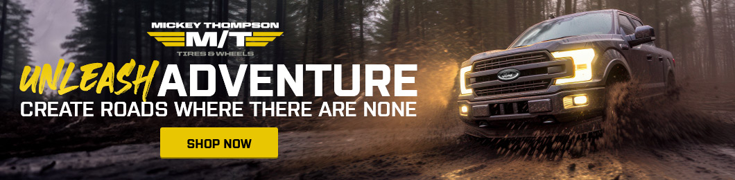 Promo Banner