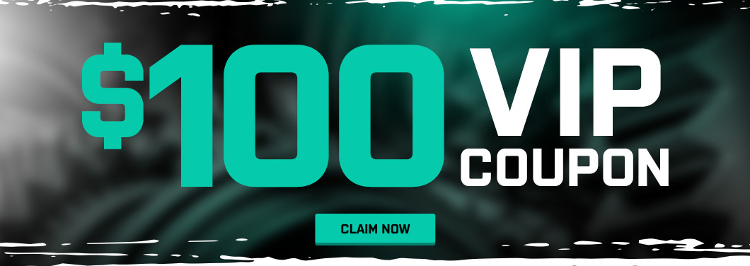 Promo Banner