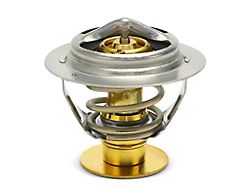 Engine Coolant Thermostat; 190 Degree (11-22 5.0L F-150; 11-14 3.7L F-150; 11-20 3.5L EcoBoost F-150)