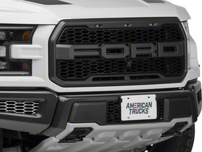 Brushed Front Lower Bumper Leaf Grilles (17-20 F-150 Raptor)