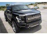 Brushed Hood Spears (17-20 F-150 Raptor)