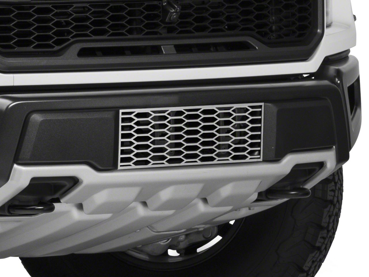 Lower Bumper Overlay Grille; Polished (17-20 F-150 Raptor)