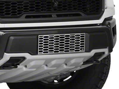 Lower Bumper Overlay Grille; Polished (17-20 F-150 Raptor)