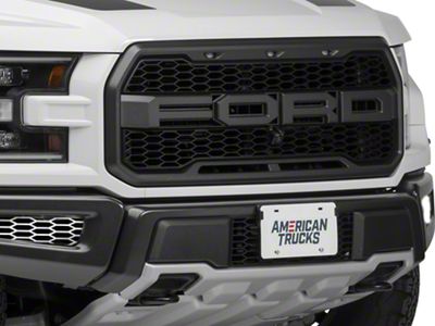 Polished Front Lower Bumper Lead Grilles (17-20 F-150 Raptor)