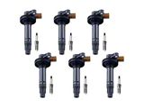ACEON Ignition Coils with Spark Plugs; Silver (11-16 3.5L EcoBoost F-150)