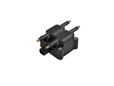 Ignition Coil; Black; Single (2003 8.0L RAM 2500)