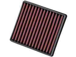 AEM Induction DryFlow Replacement Air Filter (09-24 F-150)