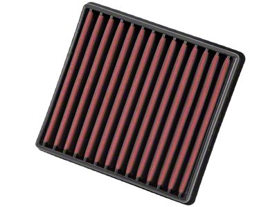 AEM Induction DryFlow Replacement Air Filter (09-25 F-150)
