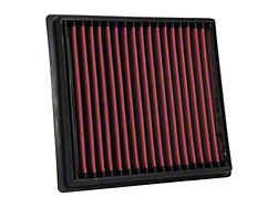 AEM Induction DryFlow Replacement Air Filter (15-22 Canyon)