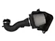 AFE Magnum FORCE Stage-2 Cold Air Intake with Pro DRY S Filter; Black (19-24 6.2L Silverado 1500)