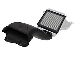 AFE D.A.S. PLUS Induction System with Pro DRY S Filter (21-25 F-150)