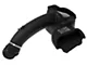 AFE Magnum FORCE Stage-2 Cold Air Intake with Pro DRY S Filter; Black (21-24 5.0L F-150)