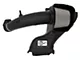 AFE Magnum FORCE Stage-2 Cold Air Intake with Pro DRY S Filter; Black (21-24 5.0L F-150)