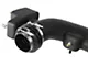 AFE Momentum GT Cold Air Intake with Pro DRY S Filter; Black (17-19 6.2L F-350 Super Duty)