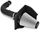 AFE Magnum FORCE Stage-2 Cold Air Intake with Pro DRY S Filter; Black (97-03 5.4L F-150)