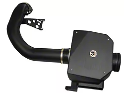 AFE Magnum FORCE Stage-2 Si Cold Air Intake with Pro 5R Oiled Filter; Black (04-08 5.4L F-150)