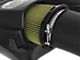 AFE Momentum GT Cold Air Intake with Pro-GUARD 7 Oiled Filter; Black (17-20 F-150 Raptor)