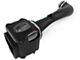 AFE Momentum GT Cold Air Intake with Pro DRY S Filter; Black (2009 6.0L Sierra 1500, Excluding Hybrid)