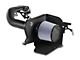 AFE Magnum FORCE Stage-2 Cold Air Intake with Pro DRY S Filter; Black (04-08 5.4L F-150)