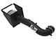 AFE Magnum FORCE Stage-2 Cold Air Intake with Pro DRY S Filter; Black (17-18 6.2L Silverado 1500)