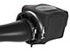 AFE Momentum GT Cold Air Intake with Pro DRY S Filter; Black (14-18 6.2L Silverado 1500)