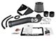 AFE Magnum FORCE Stage-2 Cold Air Intake with Pro DRY S Filter; Black (17-18 5.3L Silverado 1500)