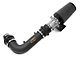 Airaid Classic Performance Cold Air Intake with Black SynthaMax Dry Filter (97-03 5.4L F-150)