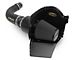 Airaid Cold Air Dam Intake with Black SynthaMax Dry Filter (04-06 4.6L F-150)