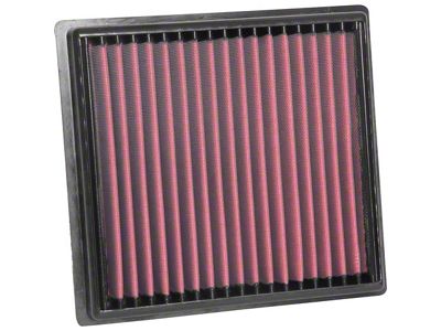 Airaid Direct Fit Replacement Air Filter; Red SynthaMax Dry Filter (15-22 Canyon)