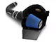 Airaid Cold Air Dam Intake with Blue SynthaMax Dry Filter (04-06 4.6L F-150)