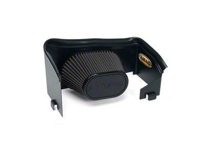 Airaid Cold Air Dam Intake with Black SynthaMax Dry Filter (00-04 4.7L Dakota)