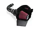 Airaid Cold Air Dam Intake with Red SynthaFlow Oiled Filter (04-06 4.6L F-150)