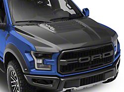 Anderson Composites Type-OE Hood; Carbon Fiber (17-20 F-150 Raptor)