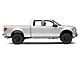 4-Inch iStep Running Boards; Hairline Silver (09-14 F-150 SuperCrew)