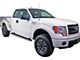 5-Inch iStep Running Boards; Hairline Silver (09-14 F-150 SuperCab)