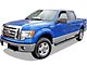 5-Inch iStep Running Boards; Hairline Silver (09-14 F-150 SuperCrew)