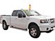 6-Inch iStep Running Boards; Hairline Silver (04-08 F-150 SuperCab)
