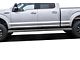 6-Inch iStep Wheel-to-Wheel Running Boards; Hairline Silver (15-24 F-150 SuperCrew)