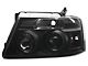 Halo Projector Headlights; Black Housing; Clear Lens (04-08 F-150)