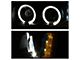LED Halo Projector Headlights; Black Housing; Clear Lens (03-06 Silverado 1500)