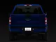 Raxiom Axial Series LED License Plate Lamps (15-24 F-150)