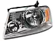Raxiom Axial Series OEM Style Replacement Headlights; Chrome Housing; Clear Lens (04-08 F-150)
