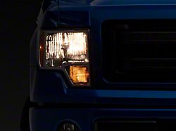 Raxiom Axial Series OEM Style Replacement Headlights; Chrome Housing; Clear Lens (09-14 F-150 w/ Factory Halogen Headlights)