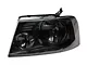 Raxiom Axial Series OEM Style Replacement Headlights; Chrome Housing; Smoked Lens (04-08 F-150)