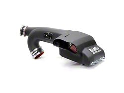 Banks Power Ram-Air Cold Air Intake with Dry Filter (11-14 3.5L EcoBoost F-150)