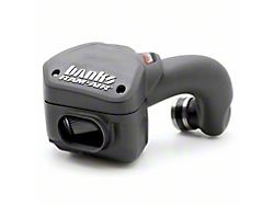Banks Power Ram-Air Cold Air Intake with Dry Filter (94-02 5.9L I6 RAM 3500)