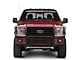 Barricade Brush Guard; Stainless Steel (15-17 F-150, Excluding Raptor)